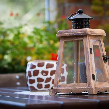 Dornbuschblick Dranske